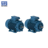 12862392 -Motor-W22-Series-WEG-vietnam
