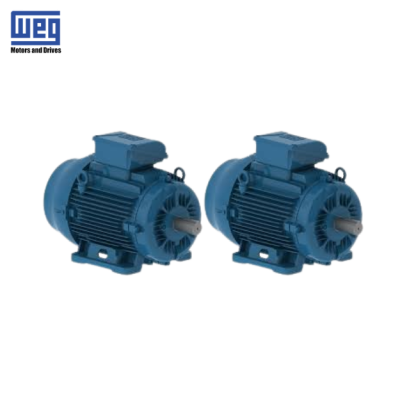 12862392 -Motor-W22-Series-WEG-vietnam