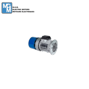 MGM-motori-Elettrici -S.p.A- BAX-132S-B2