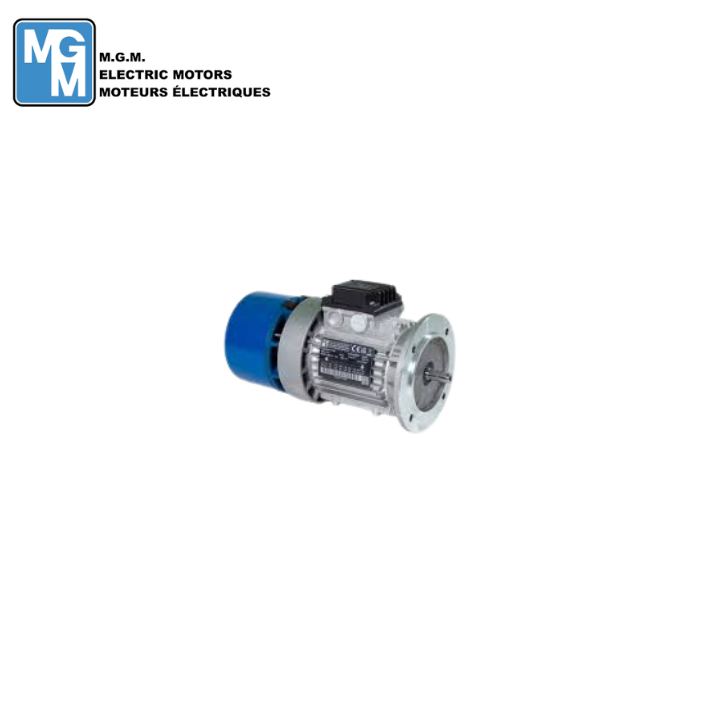 MGM-motori-Elettrici -S.p.A- BAX-132S-B2