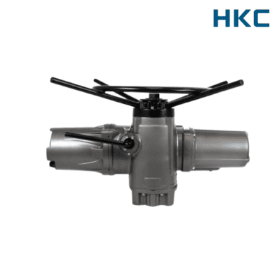 HM-020-HKC-Viet-nam