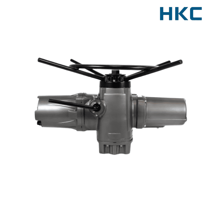 HM-020-HKC-Viet-nam