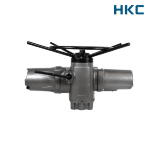 Bộ truyền động HM-060 HKC Việt Nam