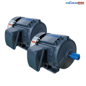 Động cơ không đồng bộ 3 pha KMP-05HV1 Higen Việt Nam