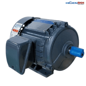 Động cơ không đồng bộ 3 pha KMP-50HV1 Higen Việt Nam