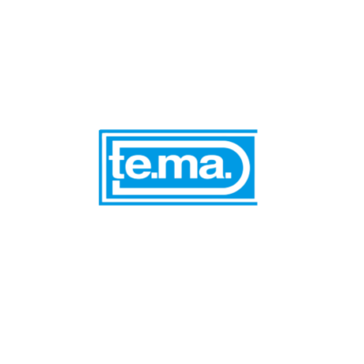 tema-viet-nam