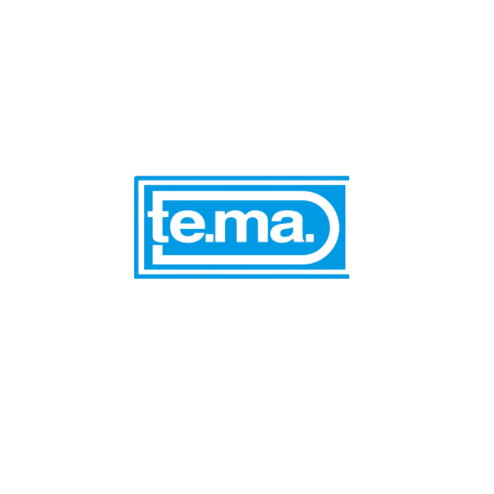 tema-viet-nam
