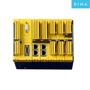 DNSL-ZM-Dina-viet-nam