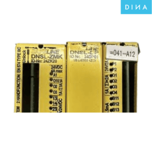 Module-DNSL-ZMB-ECM-Dina-Viet-nam